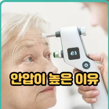 안압 높아지는 이유 원인해결