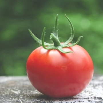 공복에 토마토는 안좋은 음식이다